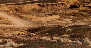 2025 赛季：大联盟平均球速在 9 月份达到 95.1 哩，投手统治力持续增强